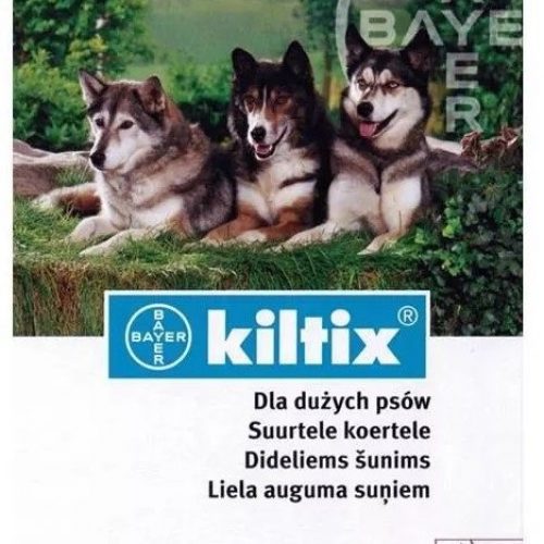 kiltix-2